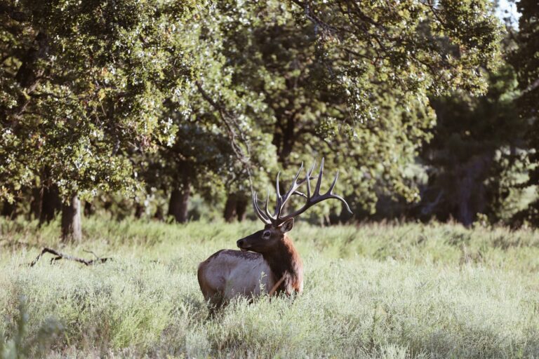 Osage County attraction